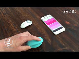 sync by we-vibe   worlds most popular couples vibrator